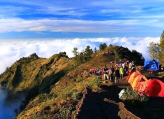 Taman Safari Indonesia Invites Indian Travelers on a Wildlife Conservation Journey