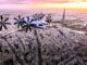 Startup Sora Aviation Sees Opening For 30-Seat eVTOLs