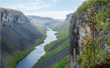 Finnair strengthens its network in the Nordics for summer 2026: New route to Alta and increased frequencies to popular destinations